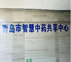 青岛市李沧区智慧中医药一体化项目